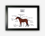 Anatomy of a Horse Pony Funny Gift For Him Or Her Word Art Wall Friends Prints ST065