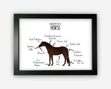 Anatomy of a Horse Pony Funny Gift For Him Or Her Word Art Wall Friends Prints ST065