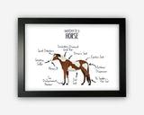 Anatomy of a Horse Pony Funny Gift For Him Or Her Word Art Wall Friends Prints ST065