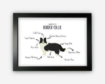 Anatomy of a Border Collie Funny Gift For Him Or Her Word Art Wall Friends Prints ST054