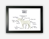 Anatomy of a Horse Pony Funny Gift For Him Or Her Word Art Wall Friends Prints ST065