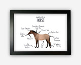 Anatomy of a Horse Pony Funny Gift For Him Or Her Word Art Wall Friends Prints ST065