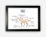 Anatomy of a Horse Pony Funny Gift For Him Or Her Word Art Wall Friends Prints ST065