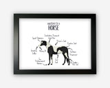 Anatomy of a Horse Pony Funny Gift For Him Or Her Word Art Wall Friends Prints ST065