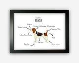 Anatomy of a Beagle Funny Gift For Him Or Her Word Art Wall Friends Prints ST051