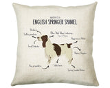 Anatomy of a English Springer Spaniel Funny Gift For Him Or Her Cushion Pillow Bedroom Decor CS406