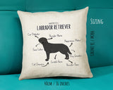 Anatomy of a Labrador Retriever (Black) Funny Gift For Him Or Her Cushion Pillow Bedroom Decor STC111