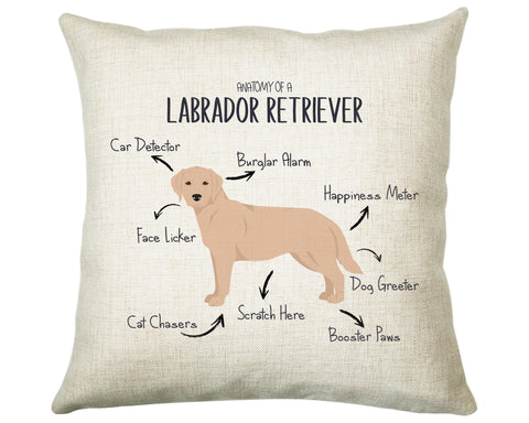 Anatomy of a Labrador Retriever (Golden) Funny Gift For Him Or Her Cushion Pillow Bedroom Decor STC113