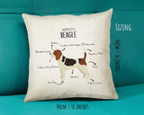 Anatomy of a Beagle Funny Gift For Him Or Her Cushion Pillow Bedroom Decor CS375