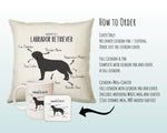 Anatomy of a Labrador Retriever (Black) Funny Gift For Him Or Her Cushion Pillow Bedroom Decor STC111