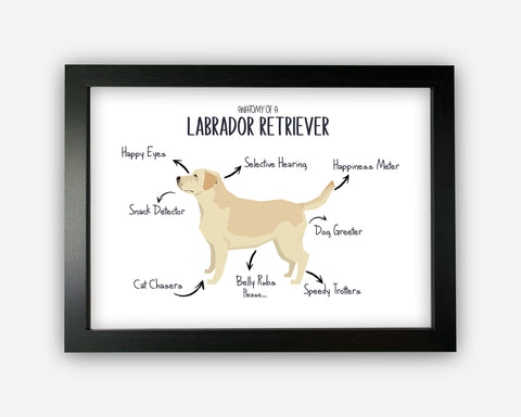 Anatomy of a Labrador Retriever (Golden) Funny Gift For Him Or Her Word Art Wall Friends Prints ST081