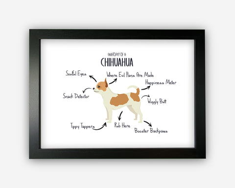 Anatomy of a Chihuahua Funny Gift For Him Or Her Word Art Wall Friends Prints ST082